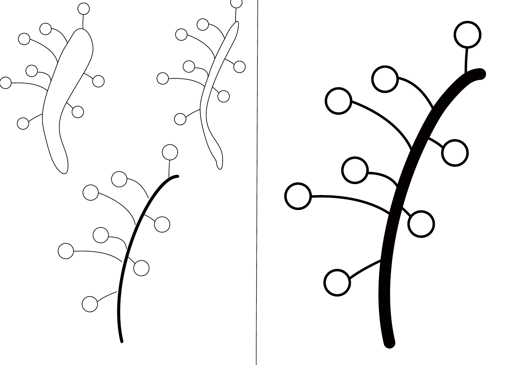 Plant simple mark study 01